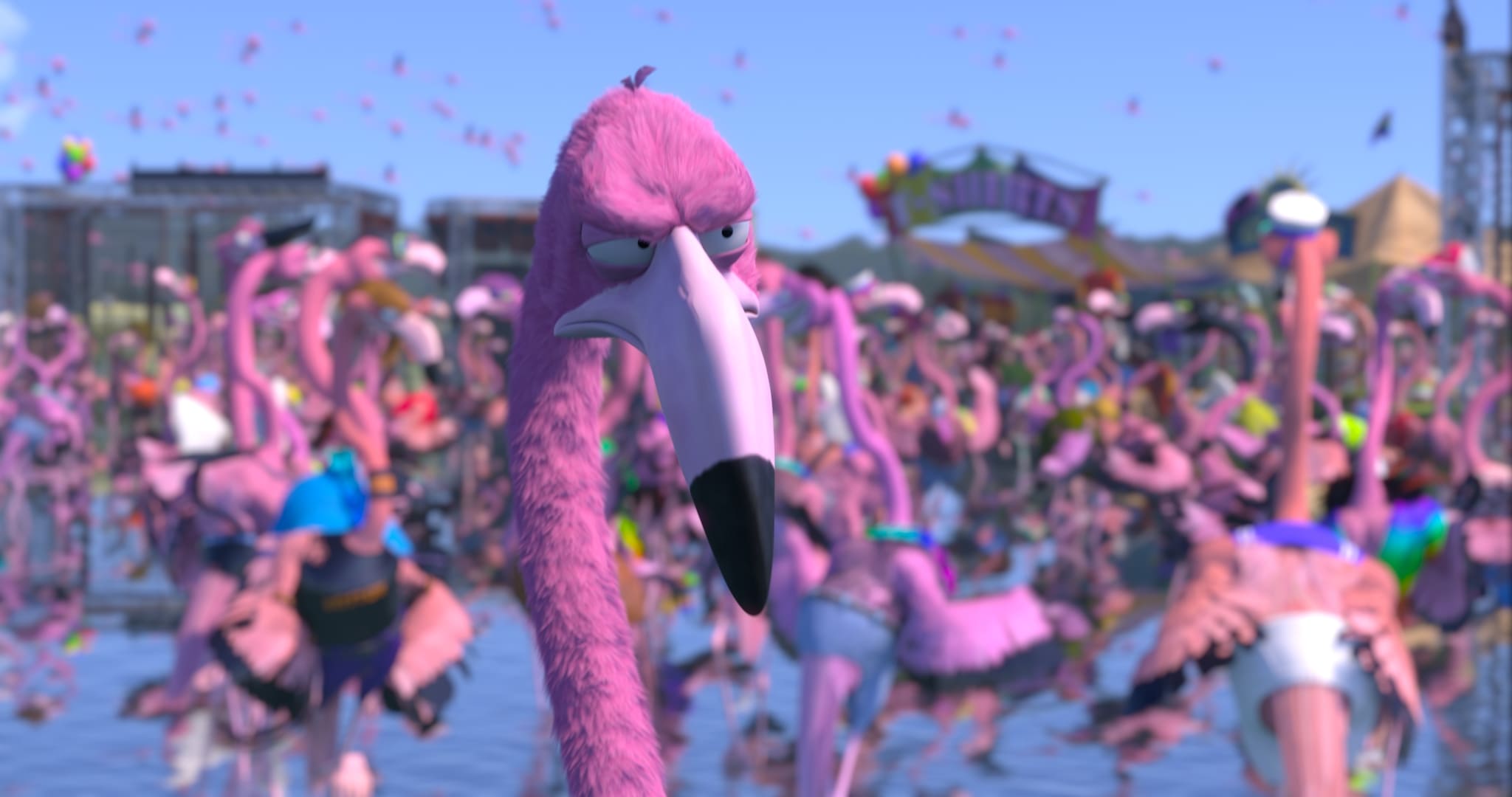 火鶴的驕傲  Flamingo Pride