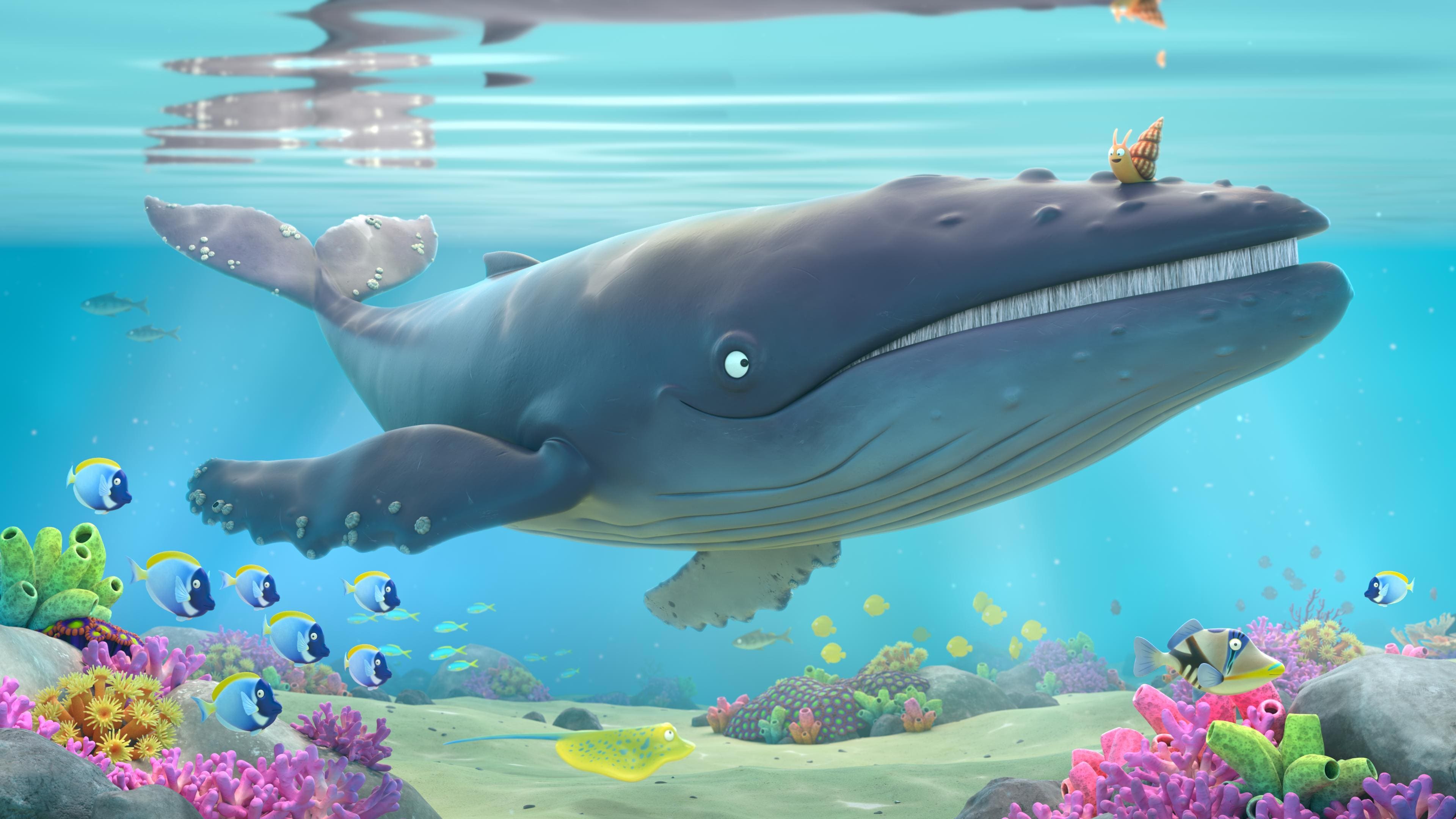 小海螺與大鯨魚 The Snail and the Whale