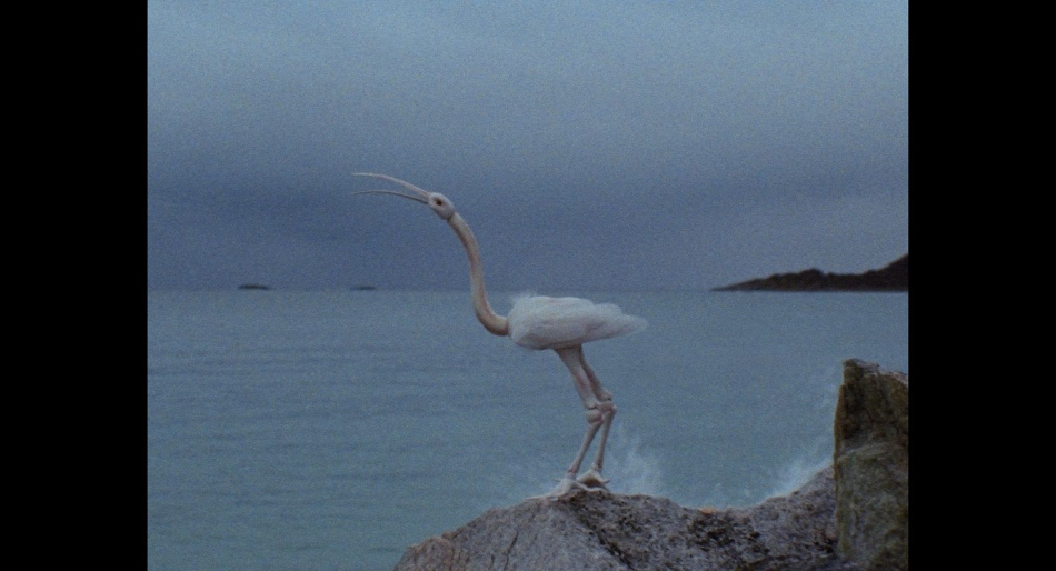 疲憊翅膀 On Weary Wings Go By